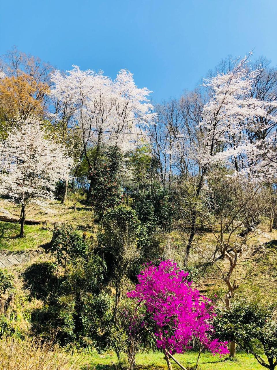 Ryutakuzenji 宿坊 Takasaki Esterno foto