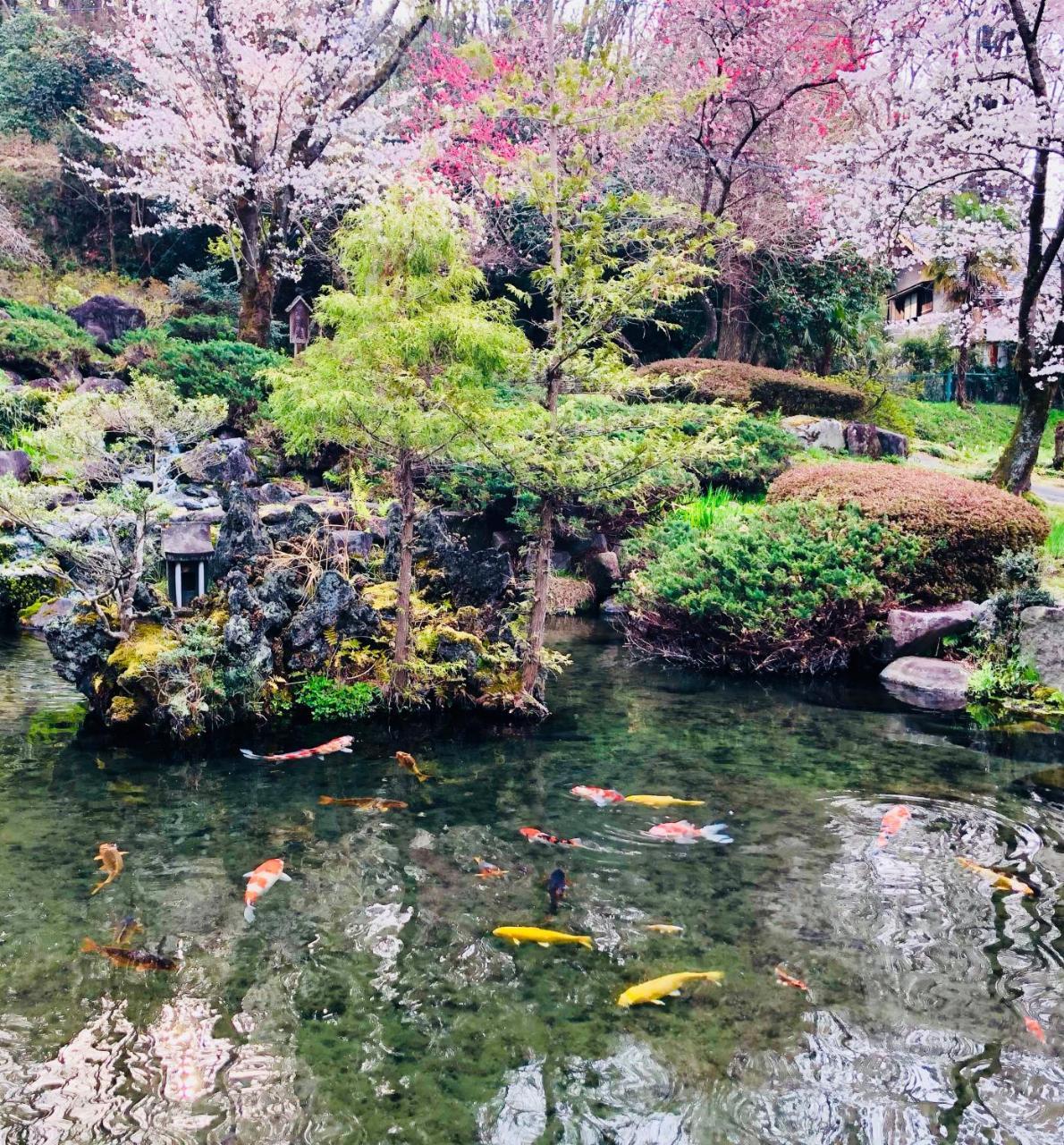 Ryutakuzenji 宿坊 Takasaki Esterno foto